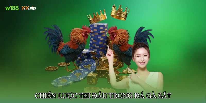 Chiến lược thi đấu trong đá gà sắt