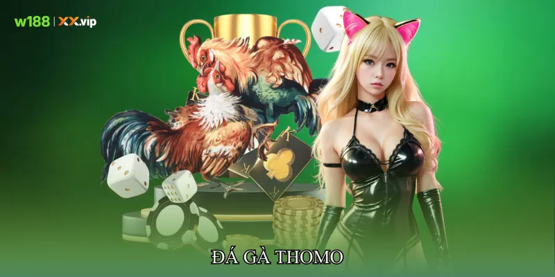 Đá gà Thomo