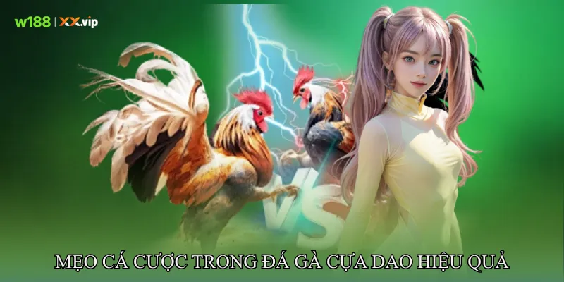 Mẹo cá cược trong Đá gà cựa dao hiệu quả