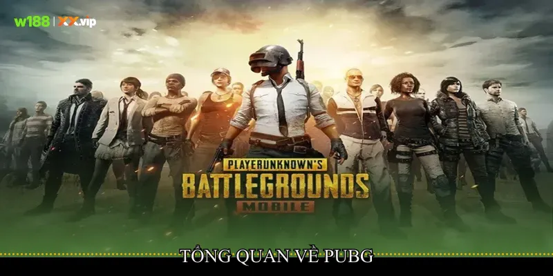 PUBG Khẳng Định Sức Hút Sinh Tồn Trên Bản Đồ Rộng 2 Tổng quan về PUBG