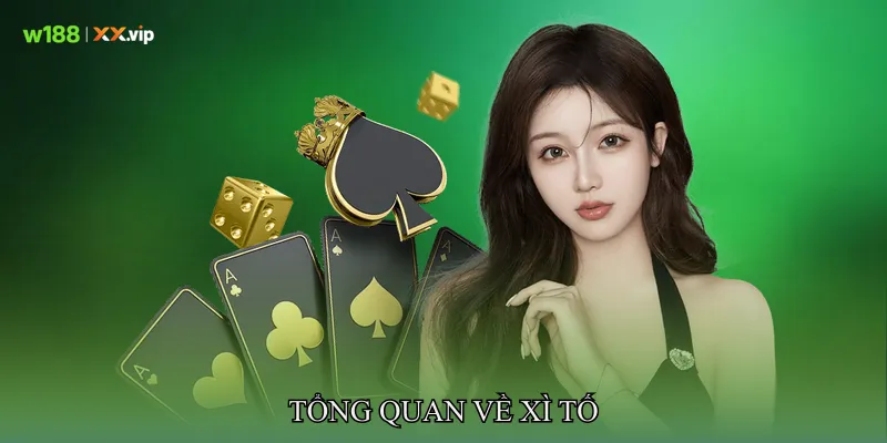 Tổng Quan Về Xì Tố